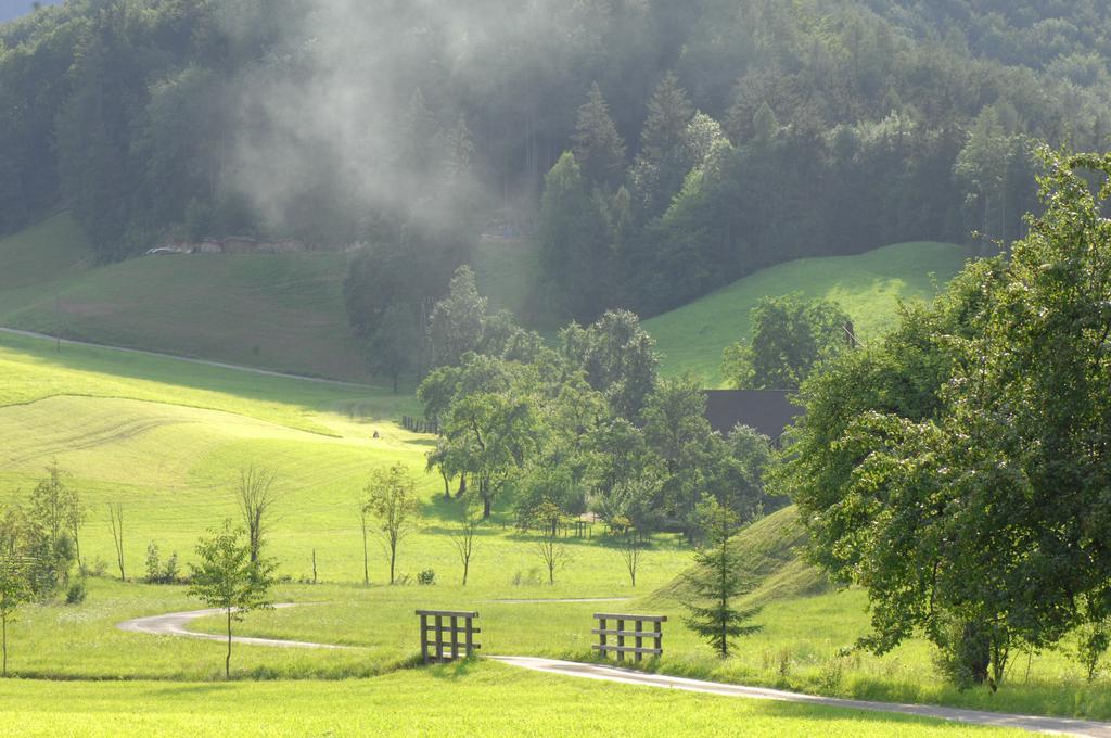 Hinterkellaubauer Bed & Breakfast Kuchl Exterior foto
